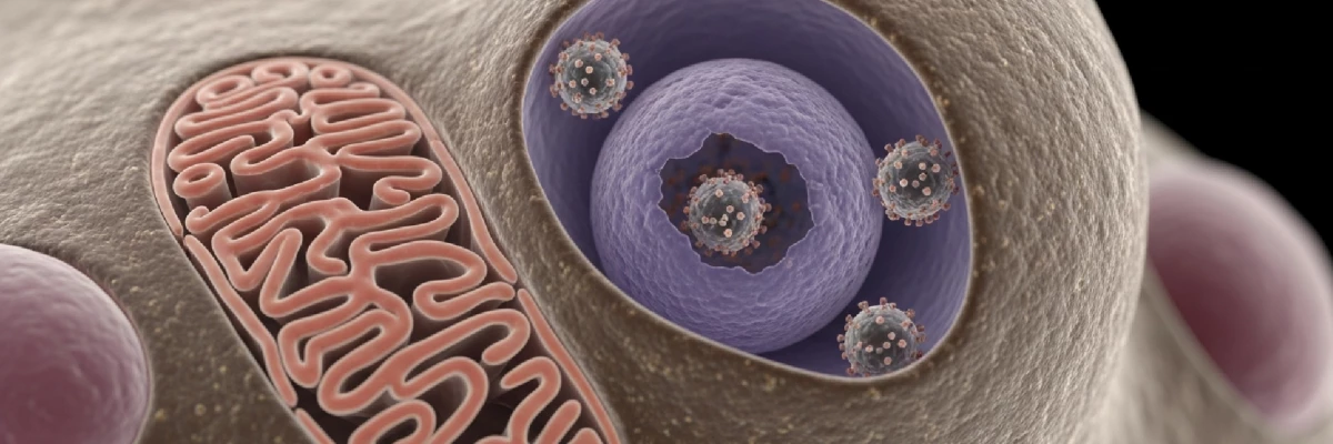 HPV Aşısı Hakkında Bilmeniz Gereken Her Şey